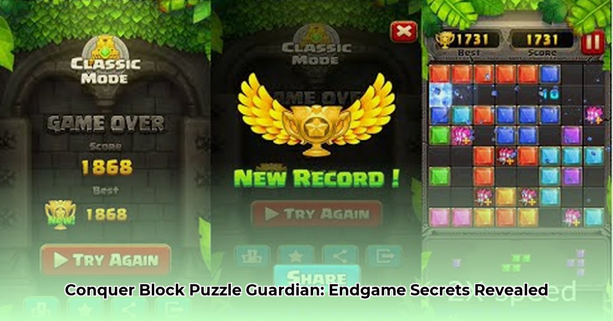 block-puzzle-guardian